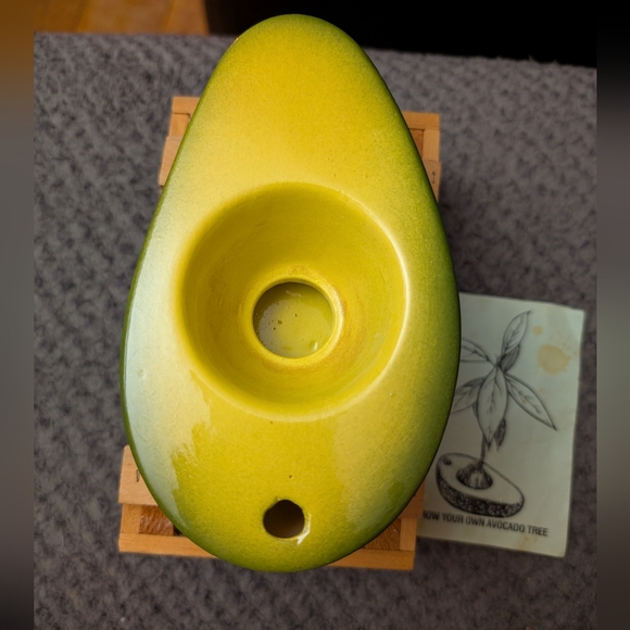 Grow Your Own Avocado 🥑 Tree - Picture 3 of 9